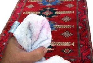 dye bleeding area rugs